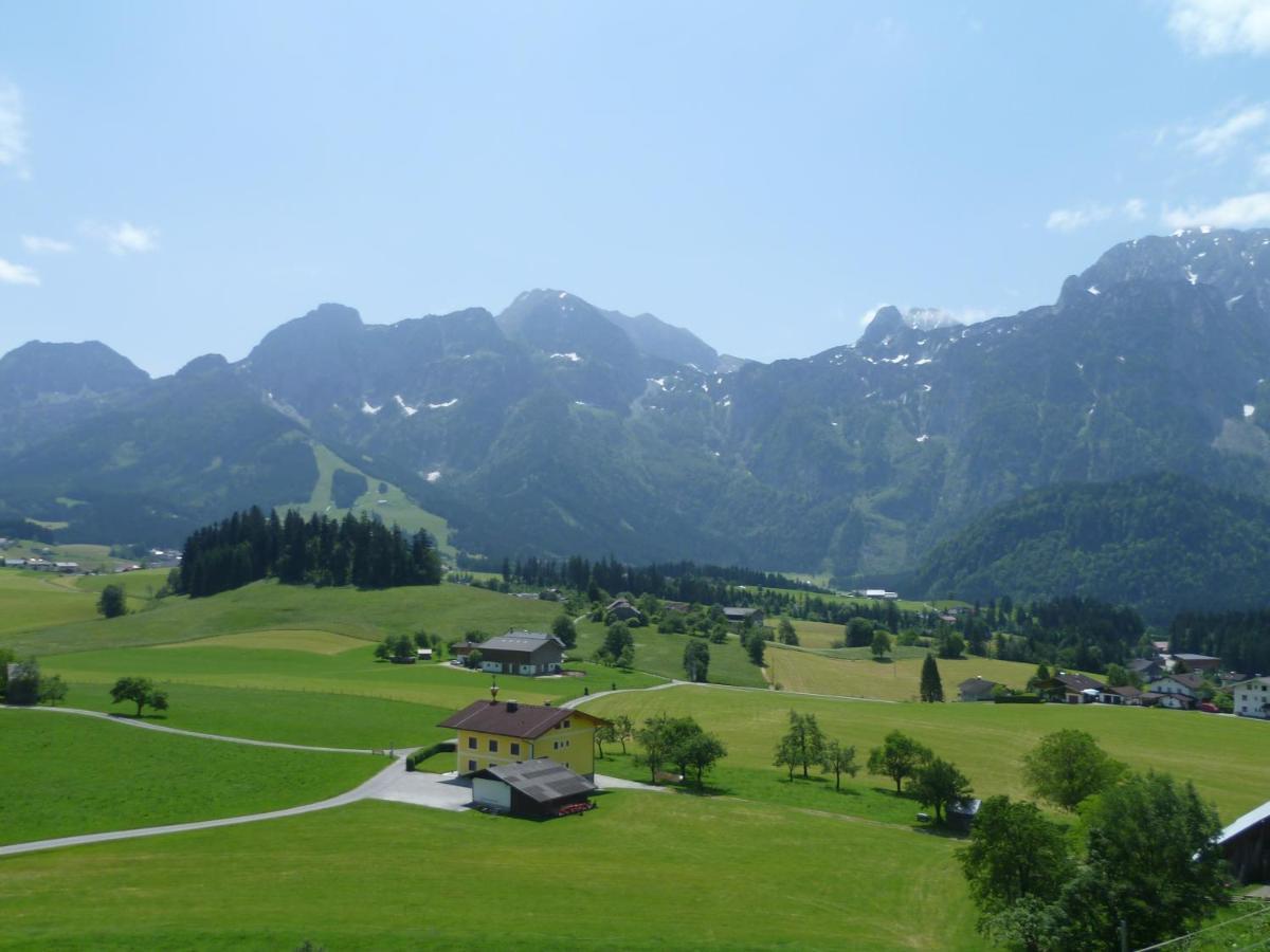 Apartement Obweghof Abtenau, Salzburger Land Exterior foto